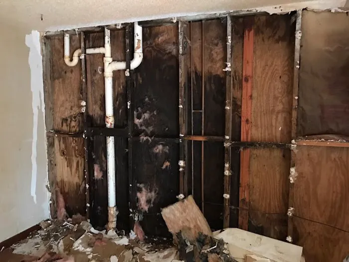 EcoTek Pro Picture 7