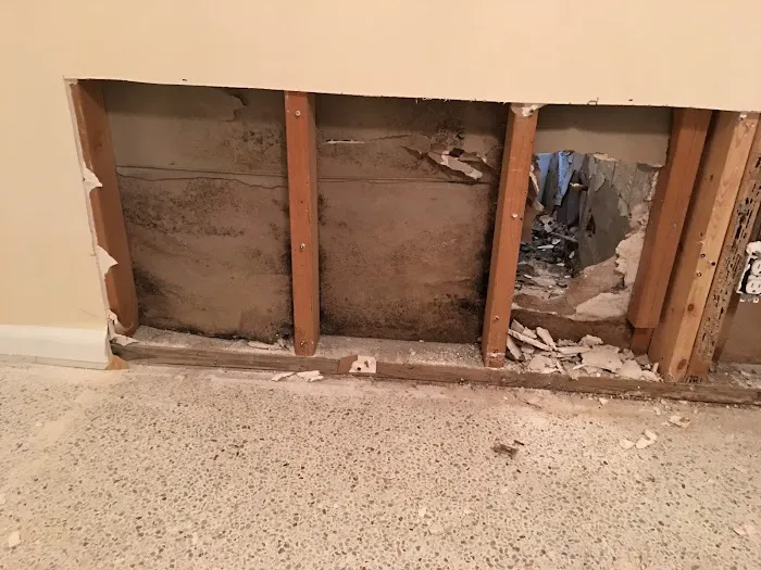 EcoTek Pro Picture 10