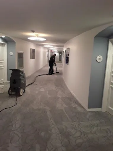 Padron Cleaning & Restoration Picture 2