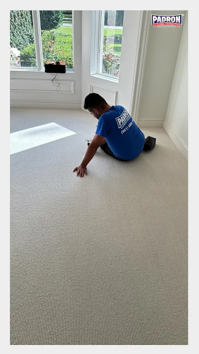 Padron Cleaning & Restoration Picture 4