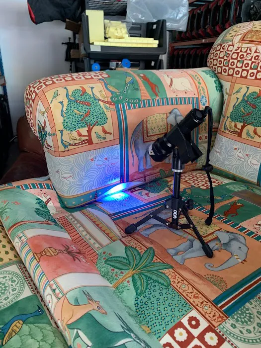 Padron Cleaning & Restoration Picture 9