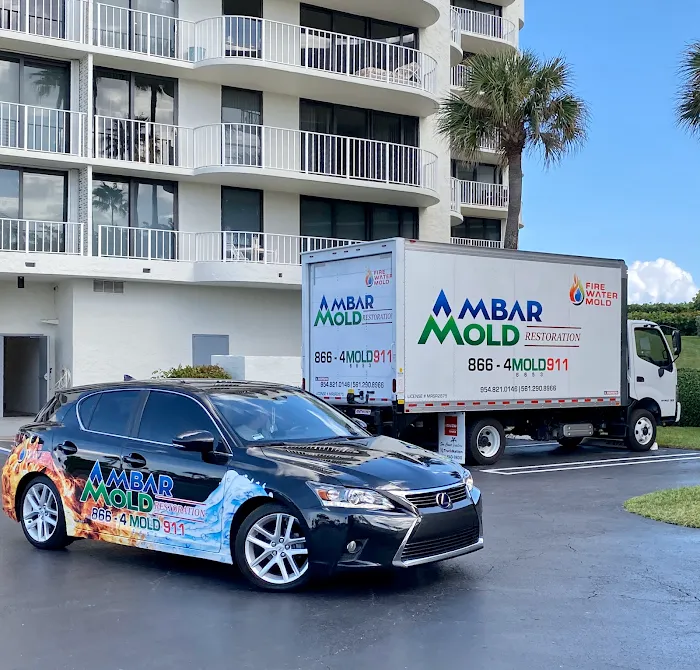 Ambar Mold Picture 2