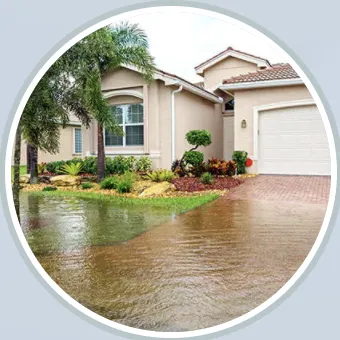 Ambar Mold Picture 8