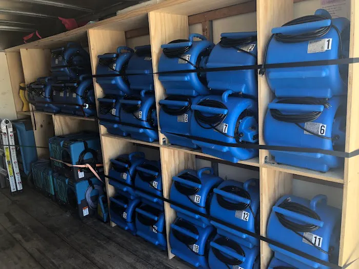 Ambar Mold Picture 7