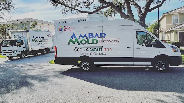 Ambar Mold Picture 9