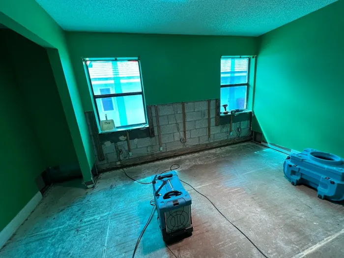 Ambar Mold Picture 10