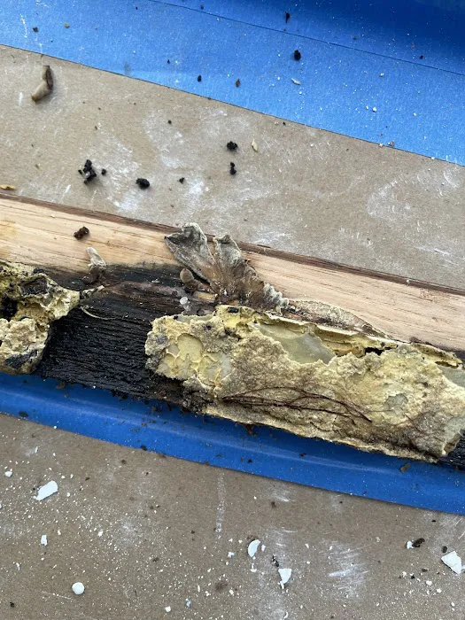 Dri Air Restoration Picture 10