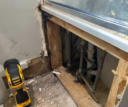 Raptor Restoration LLC