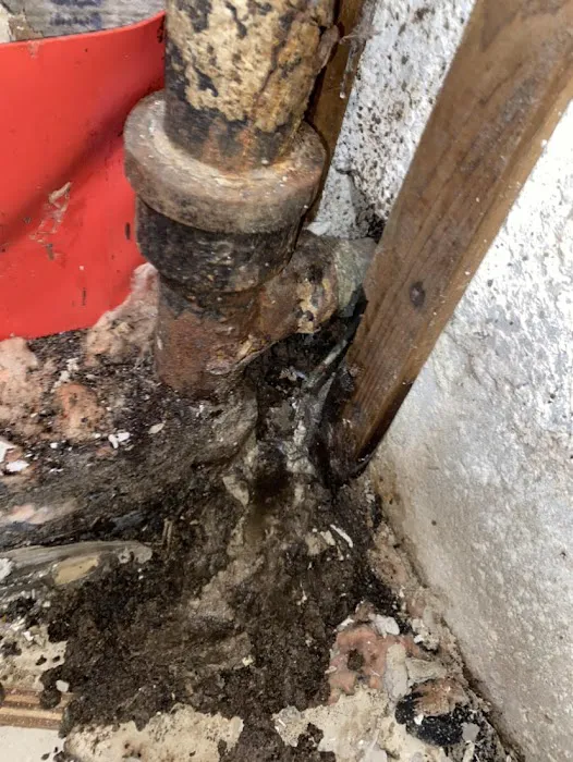 Raptor Restoration LLC Picture 4