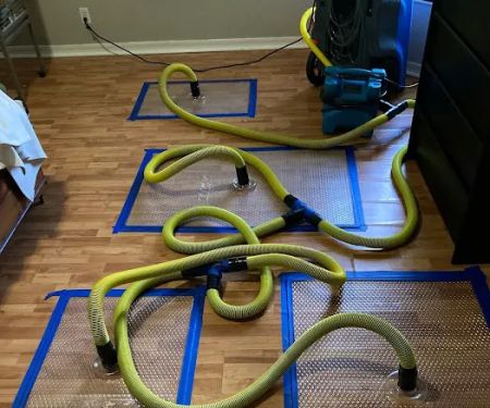 BioBusters Remediation, LLC