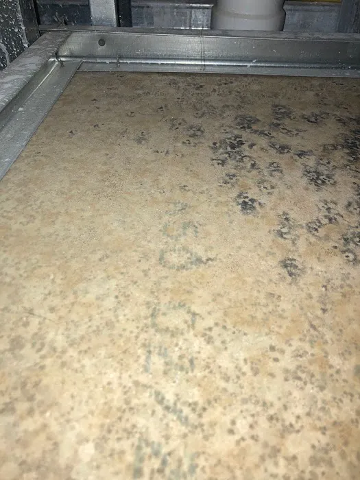 BioBusters Remediation, LLC Picture 7