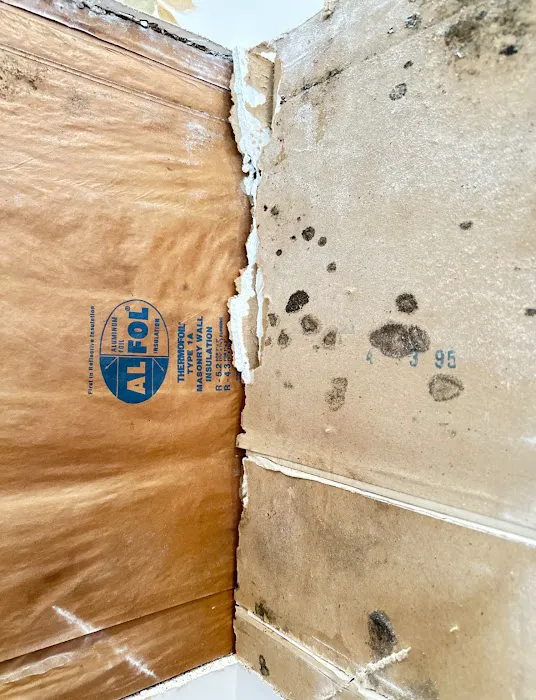 A Plus Mold Remediation Inc. Picture 2