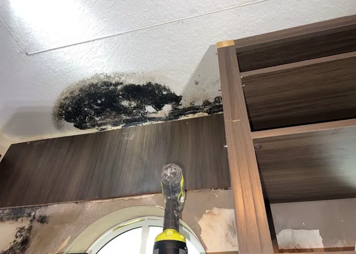 A Plus Mold Remediation Inc. Picture 5