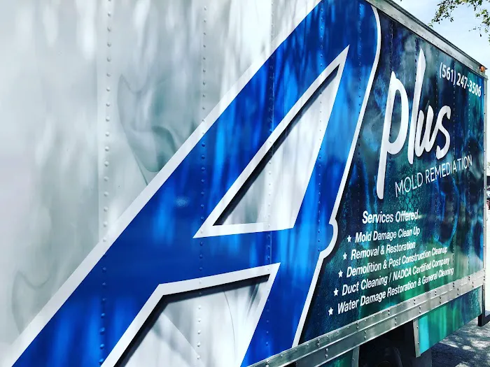 A Plus Mold Remediation Inc. Picture 4