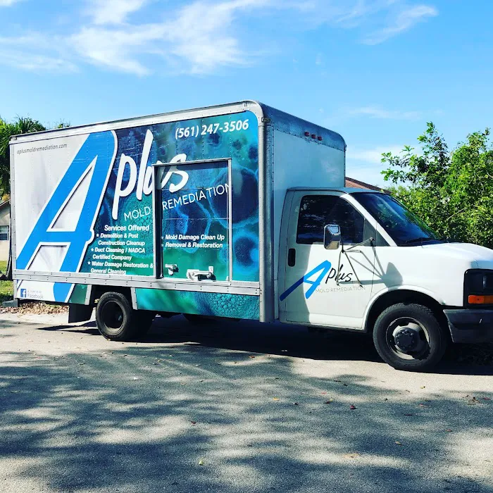 A Plus Mold Remediation Inc. Picture 7