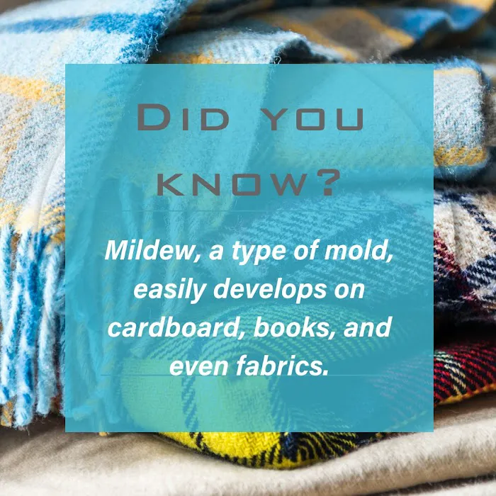 Sani Effect Environmental Picture 2