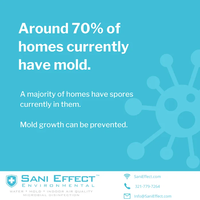 Sani Effect Environmental Picture 6