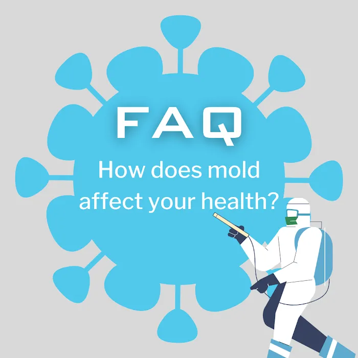 Sani Effect Environmental Picture 4