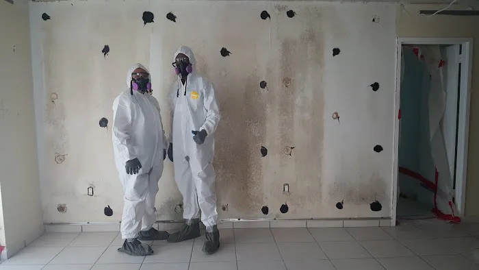 Fundisa Restoration Picture 1