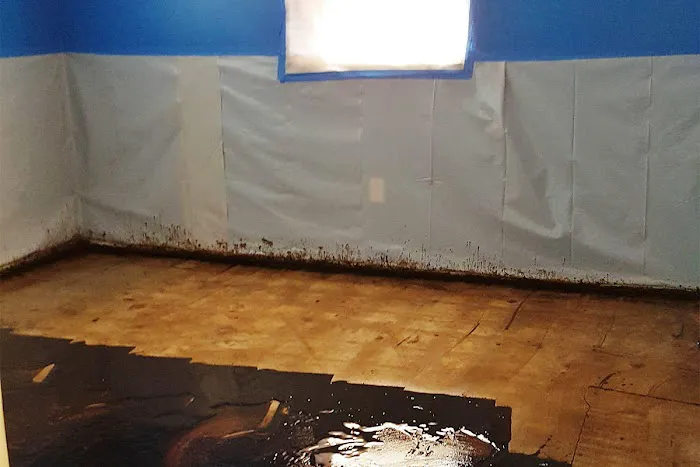 Fundisa Restoration Picture 10