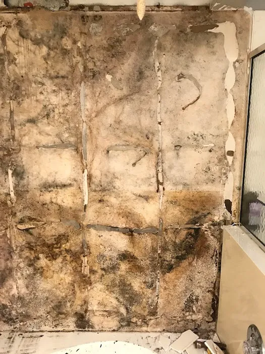 A-Team Remediation Services, Inc Picture 4