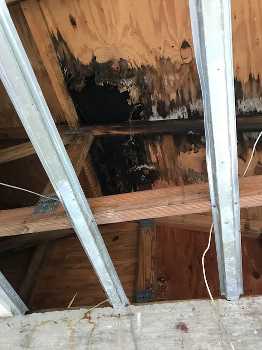 A-Team Remediation Services, Inc Picture 9