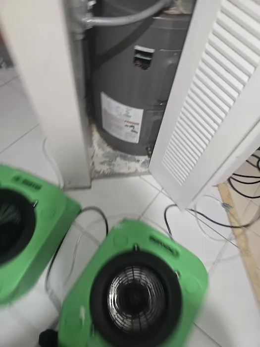 Mold and Water Florida Picture 4