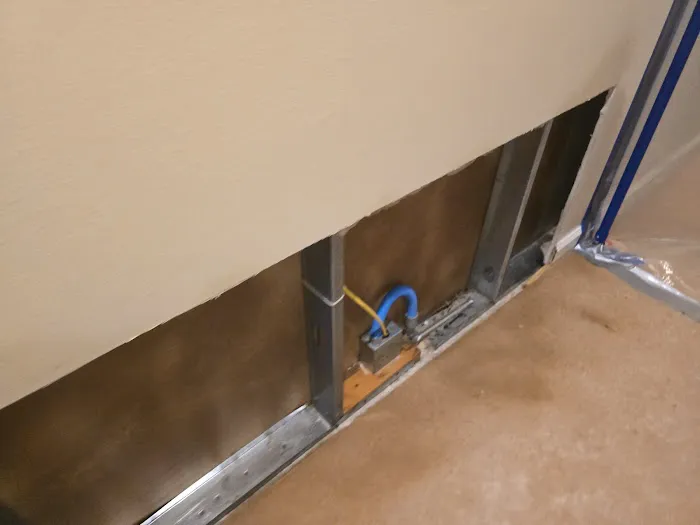 Mold and Water Florida Picture 1