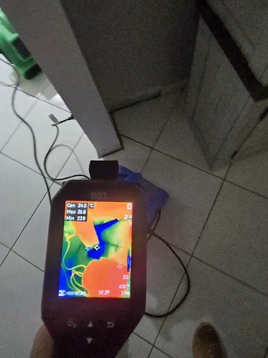 Mold and Water Florida Picture 7