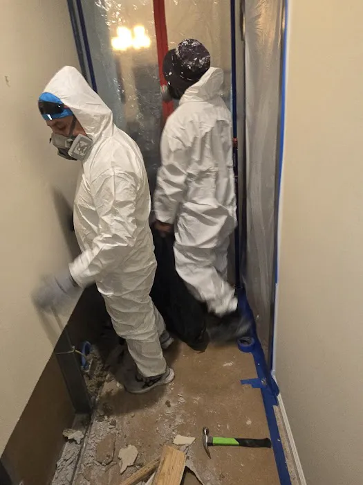 Mold and Water Florida Picture 9