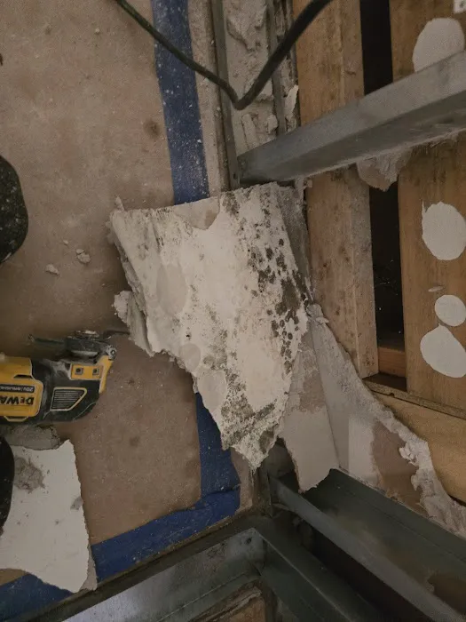 Mold and Water Florida Picture 10