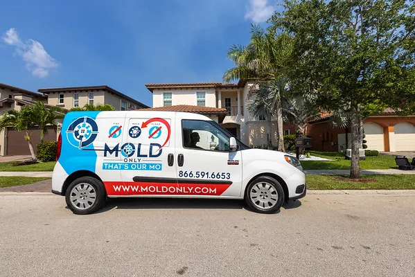 Mold Only, Inc Picture 3