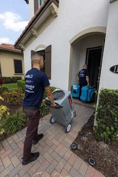 Mold Only, Inc Picture 4