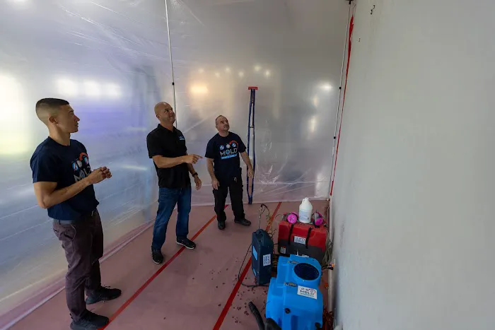 Mold Only, Inc Picture 10