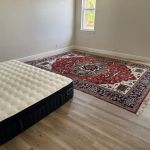 Alladin's Magic Carpet Cleaner