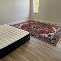 Alladin's Magic Carpet Cleaner ico