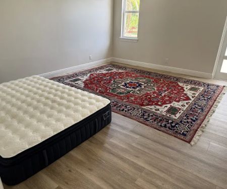 Alladin's Magic Carpet Cleaner