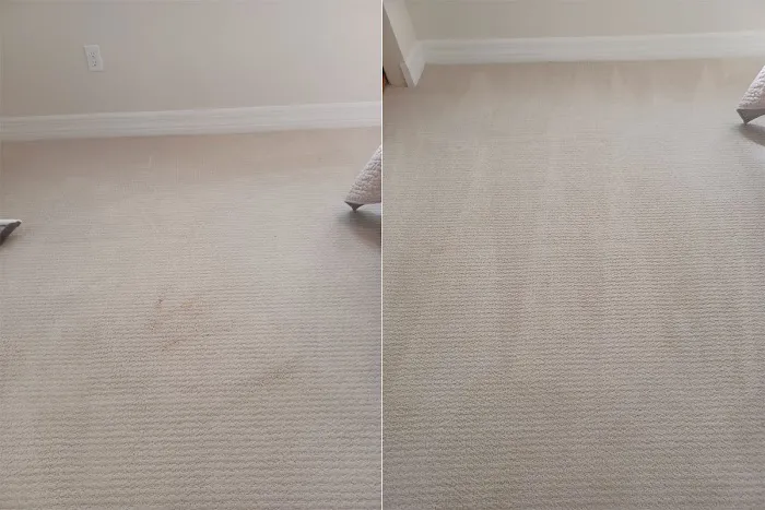 Alladin's Magic Carpet Cleaner Picture 2