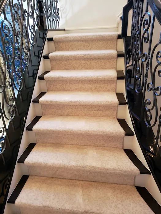 Alladin's Magic Carpet Cleaner Picture 4