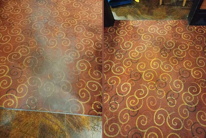 Alladin's Magic Carpet Cleaner Picture 8