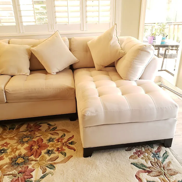 Alladin's Magic Carpet Cleaner Picture 7