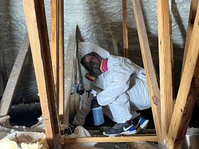 Fides Restoration Picture 6