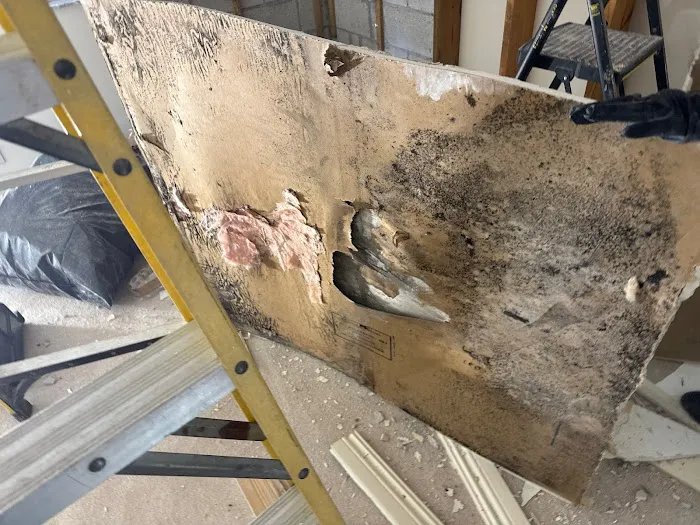 Fides Restoration Picture 7