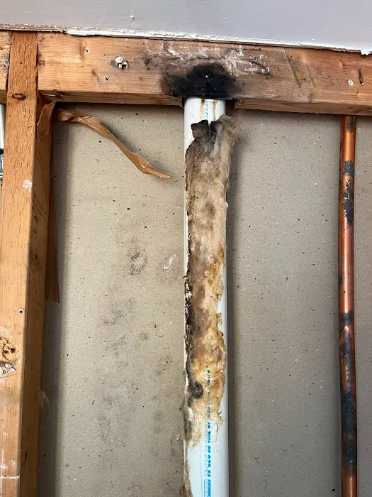 Fides Restoration Picture 8