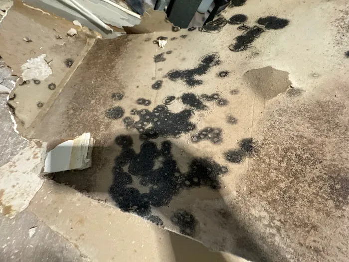 Fides Restoration Picture 10