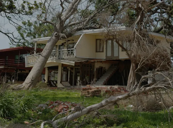 Formazin Water Damage Picture 2