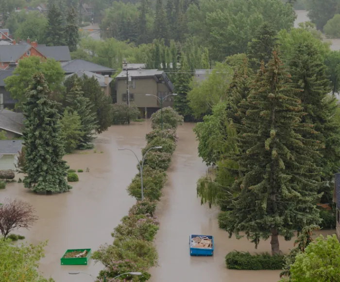 Formazin Water Damage Picture 3