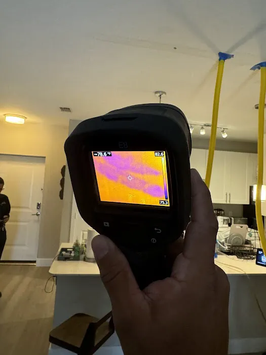 MR 1 Source Picture 2