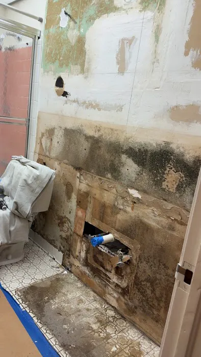 MR 1 Source Picture 8