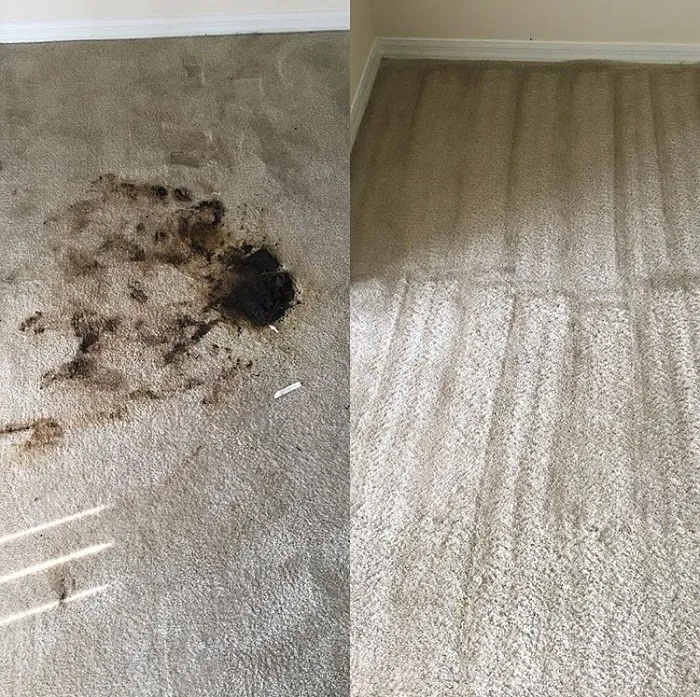 World Star Restoration Picture 4